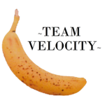 ~Team Velocity~