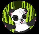 Team Panda (Charitable Organisation)