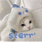 sterr’