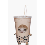 Boba is the best ever