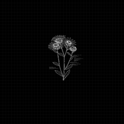black flower Roblox decal