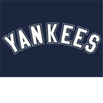 yankees baseball fan club
