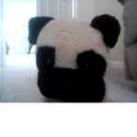 PUG FAN GROUP FOREVER!!!!