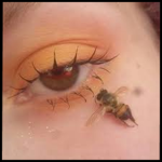 ·honey bee aesthetic