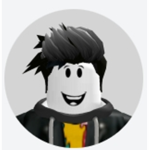 STEVEBLOXSWIN