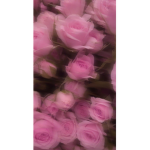 Rember to be happy!!
