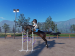 Riding lessons!
