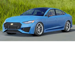 Race Ig