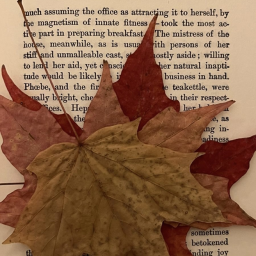 ୨🍁୧