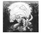 The Jersey Devil's