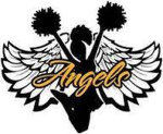 Diamonds Coed Cheerleading organisation