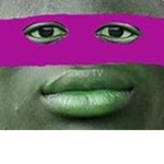 PurpleTurtle
