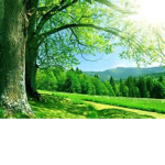 Nature :D