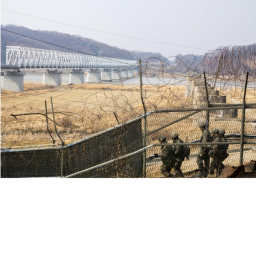 Bear Farm