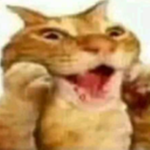 Caca d perro