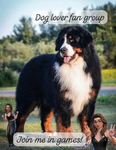 Dog lover fan group