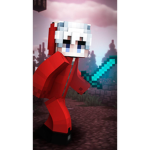 The skywars group