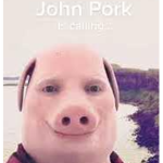 yespleayessir