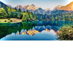 //GRUPO. TEAM NATURALEZA_ I L0V3