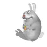 Rabbik