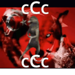 cCc Cult