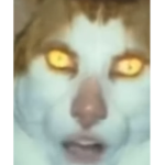 be my servant for robux