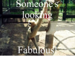 ########## fabulous.