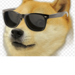 I love doge