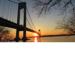 NYCTFreeDrives