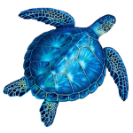Turtle sqad