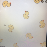 *~Ducky Fam~*