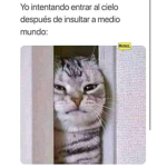 Hola qué quieres