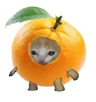 orange’s run this group