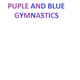 Purple and Blue gymnastics's public gym