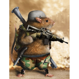 Advanced Rat Military