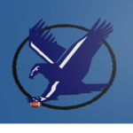 Blue Eagles Football fusion Team