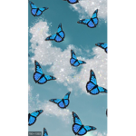 < Mia’s Clothing >