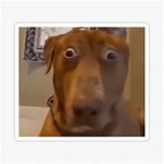 ( INactive group |