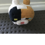 Calico cats for kayo