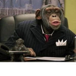 MonkeyTribe