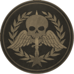 16th Commando Company