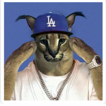 Cat meme gang