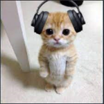 Iguz fans