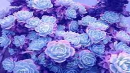 pastel purple aesthetic Roblox decal