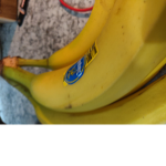 Monkey business spy group