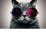 people that respect others only