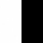 WhityBlack Fan Group