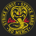 Cobra kai dojo karate