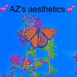Az’s aesthetics