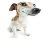 .1uve